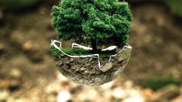 Sustainability 2