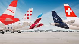 Lufthansa Group tailfins 2024