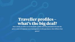 Traveller profiles – what's the big deal?